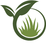 Key Palm Tree Planting